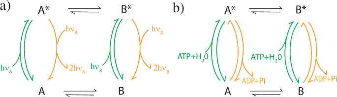 Interpreting molecular ratchets, directionality, and kinetic asymmetry through the work of Curie, Einstein, and Lewis