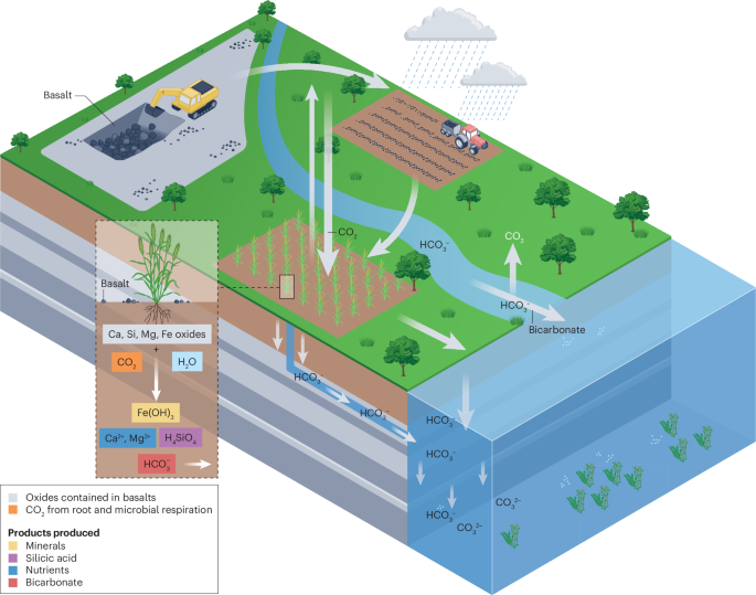 Challenges and opportunities in scaling enhanced weathering for carbon dioxide removal