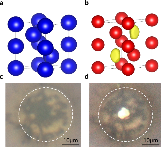 Experimental signatures of interstitial electron density in transparent dense sodium