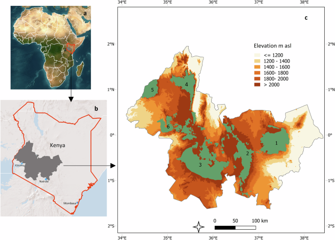 Colonial-era settlements and post-colonial legacies have increased the loss of montane forests in the central highlands of Kenya