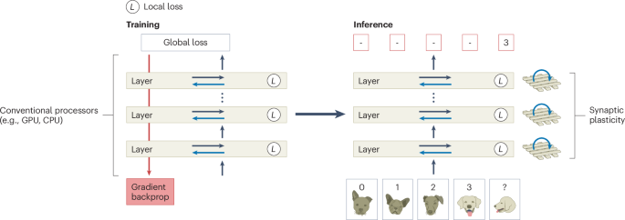 Neuromorphic principles in self-attention hardware for efficient transformers