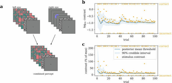 Intentional binding effect depends on conscious access to the sensory consequences of action