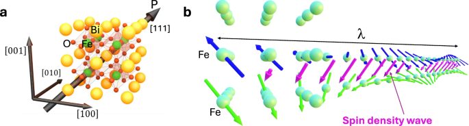 Magnon transport in multiferroic antiferromagnet