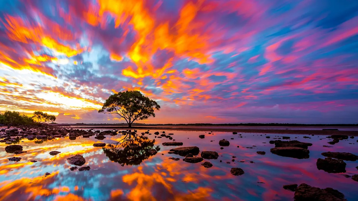 Scientists Have Found the First Branch on the Tree of Life