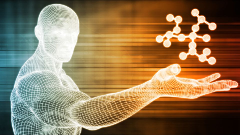 Genetics can give evolving societies a leg up