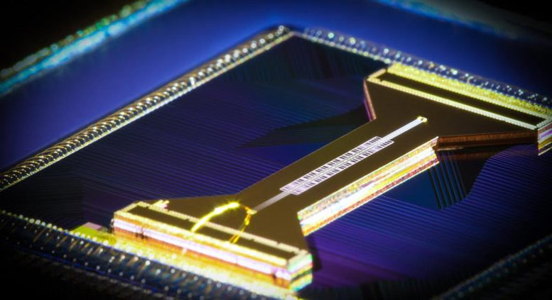 Quantum Computers Mimic Black Holes To Probe Cosmic Secrets