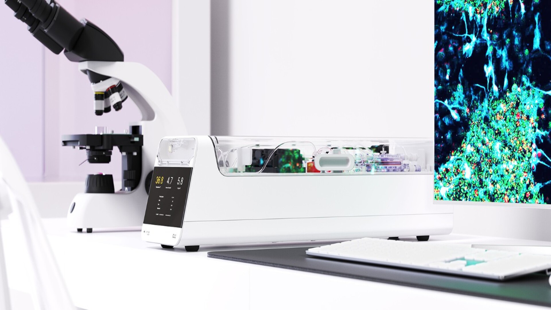 Lab-grown brain powered by 800,000 human neurons that plays Pong