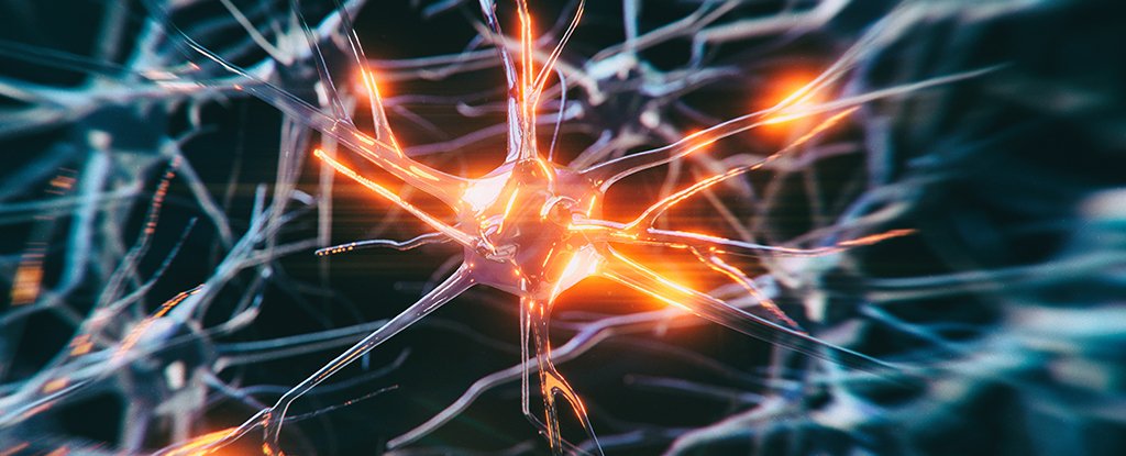 The Sad Case of The Youngest-Ever Alzheimer’s Diagnosis : ScienceAlert