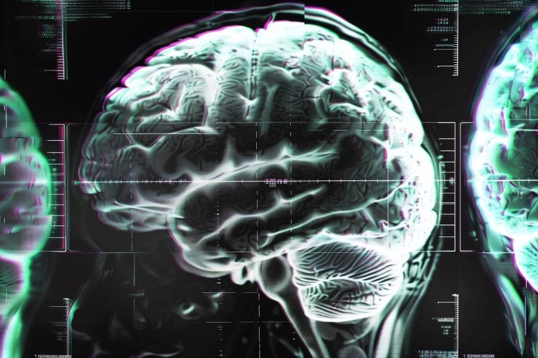 Scientists Found a Major Problem With Vitamin B12 Guidelines, and Your Brain Might Be at Risk