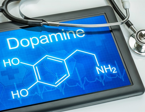 Scientists explore how dopamine shapes myelin in social isolation