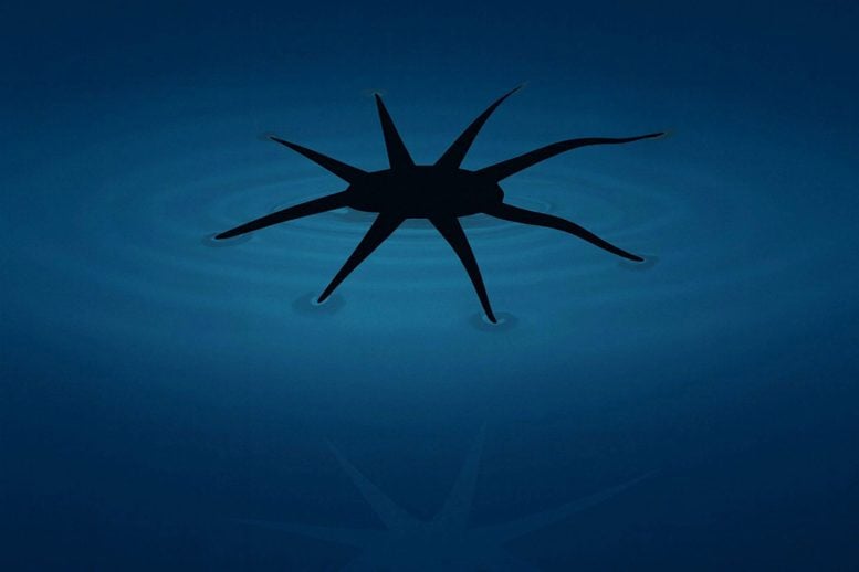 Engineers Create Soft Robots That Can Literally Walk on Water