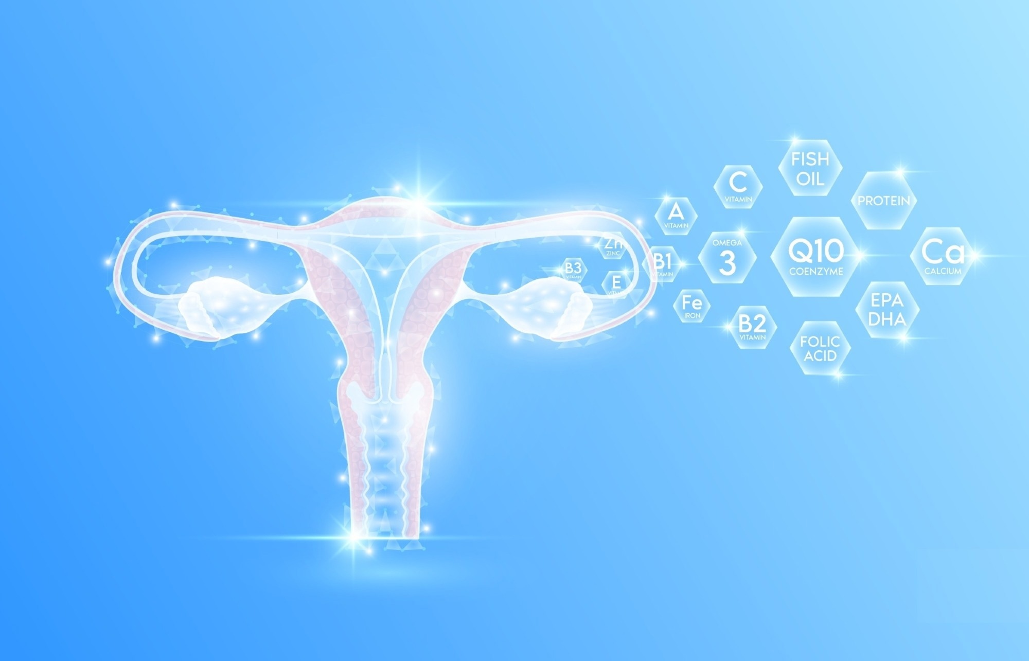 CoQ10 shows promise in boosting female fertility by reviving aging eggs