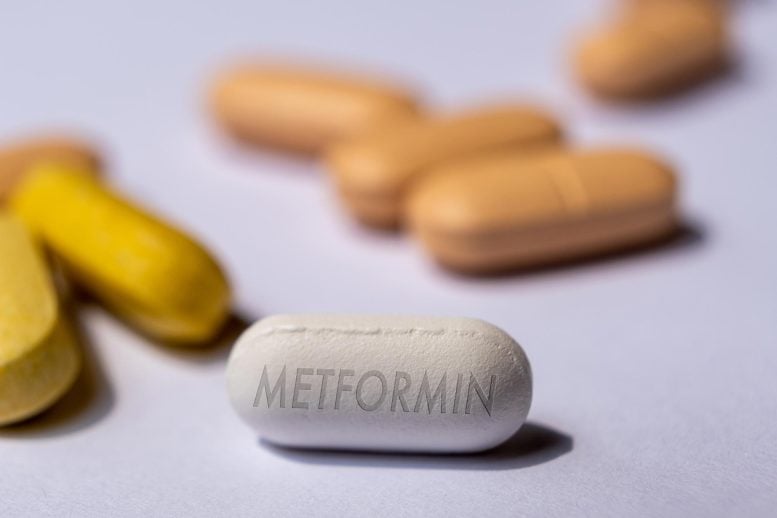 Doctors Just Found Out What Metformin Really Does Inside You