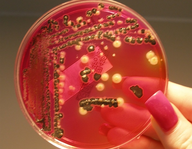Mucins show promise in preventing Salmonella infections