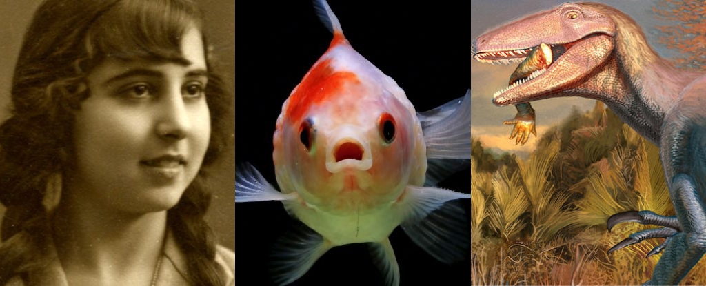 World’s Second-Largest Diamond, Fishy Finger Origins, And More! : ScienceAlert