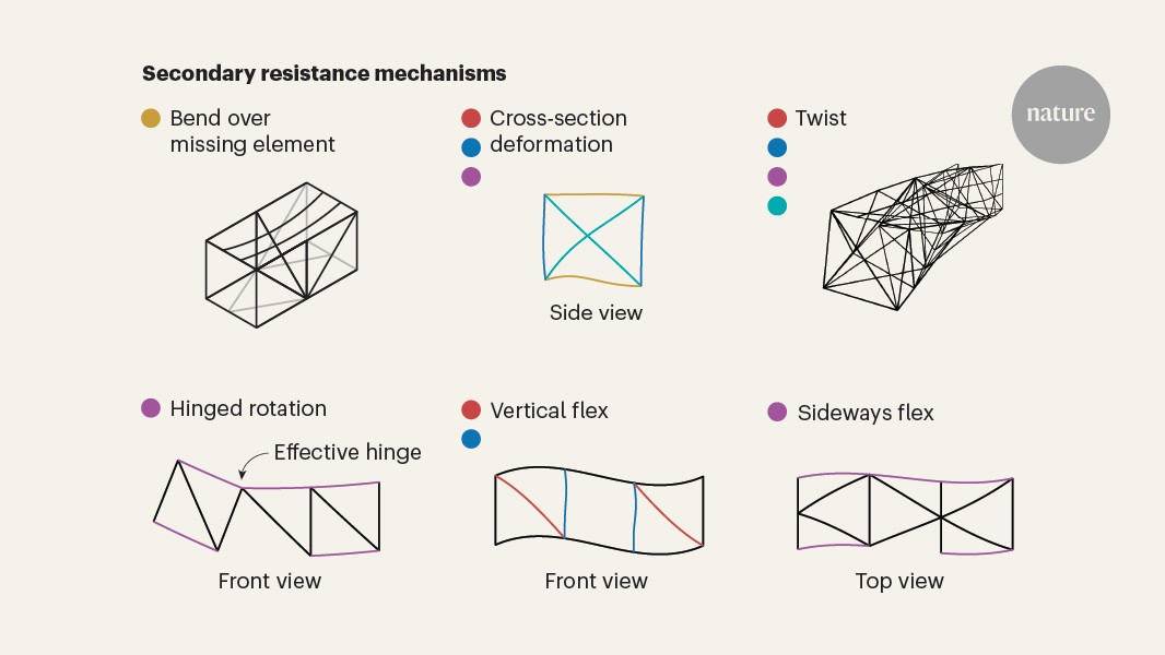 Damaged bridges flex and twist to prevent collapse