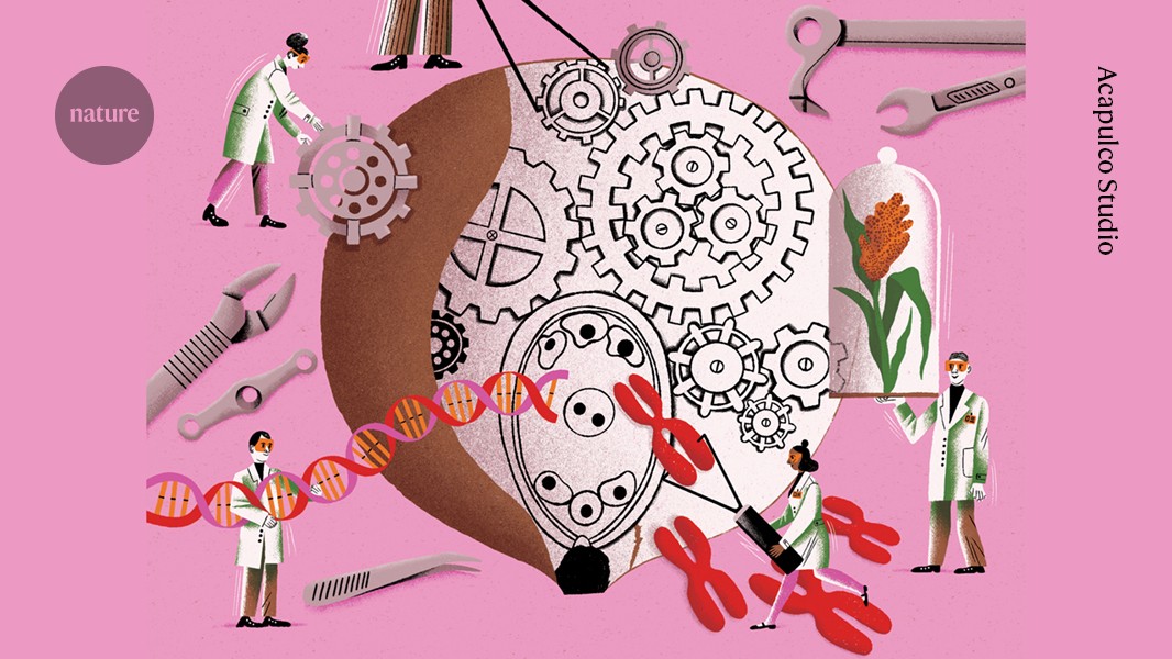 how self-cloning crops could soon transform our food