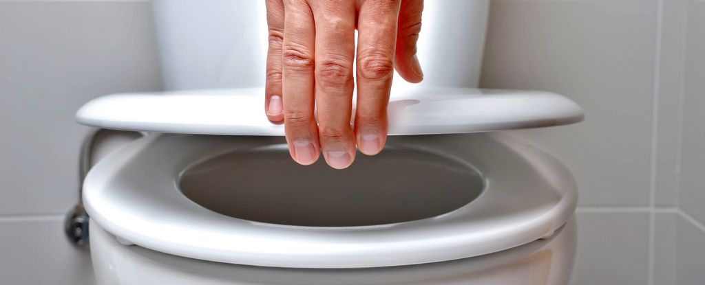 The Truth About Public Toilets, According to Science : ScienceAlert