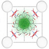 Ultrasound makes carbon dots glow for seconds with promise for imaging and radar