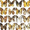 Sustainable generative AI with novel light-based system
