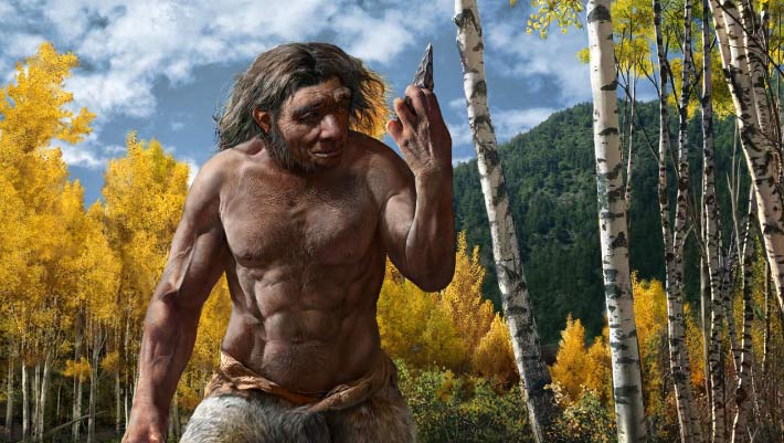 One-Million-Year-Old Yunxian Fossil Belongs to Early Homo longi, Study Suggests