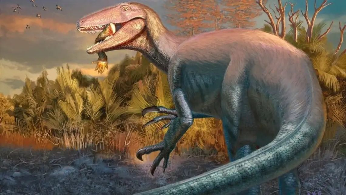 New species of megaraptor discovered in Patagonia