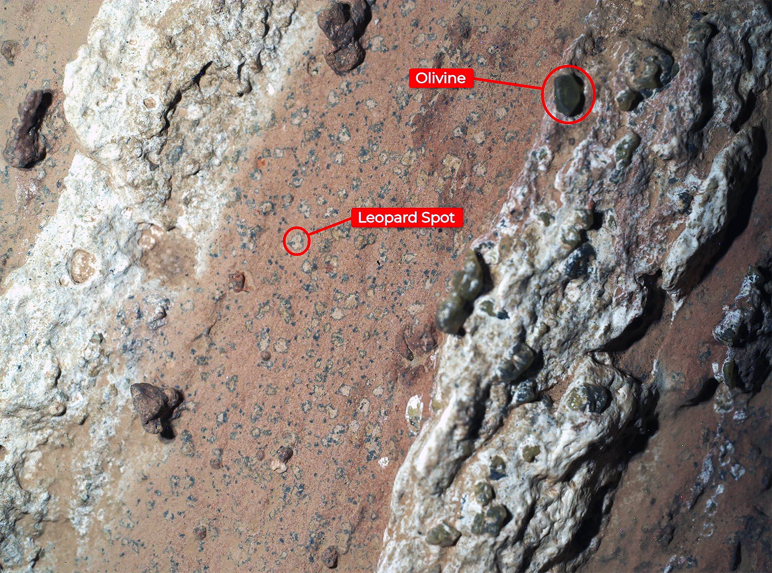 NASA announces “groundbreaking discovery” of life on Mars