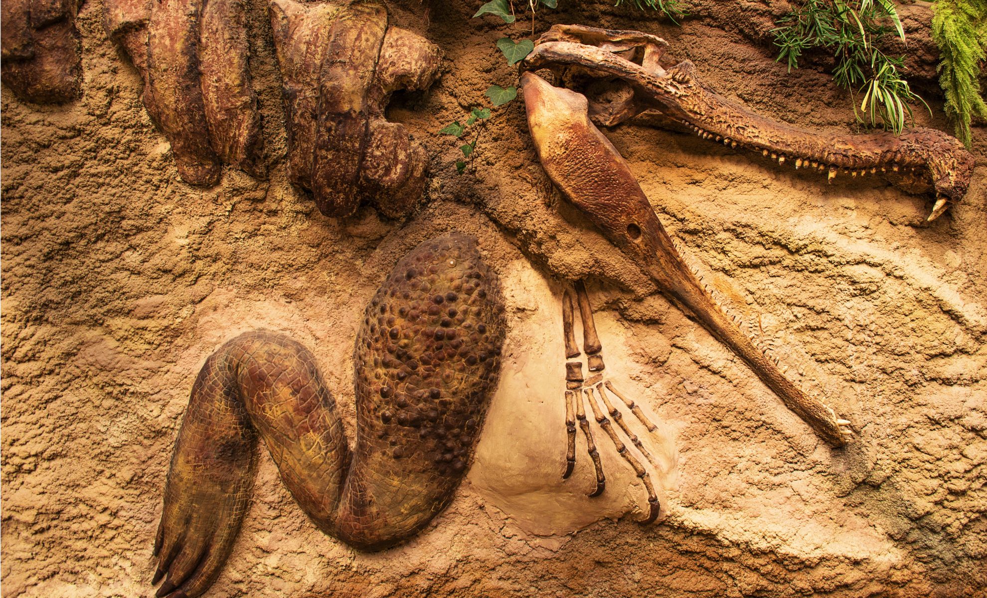 Scientists Uncover 500 Million-Year-Old Fossil With Perfectly Preserved Brain and Guts!
