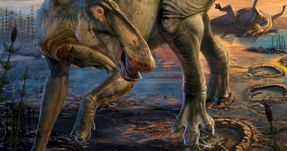 Wyoming dinosaur ‘mummies’ reveal a surprise: Hoofed feet