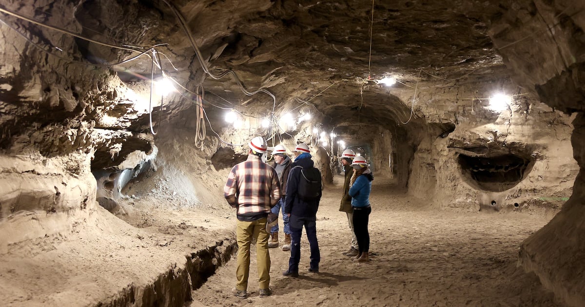 Researchers ‘Reawaken’ Planet-Destroying Microbes Frozen for 40,000 Years