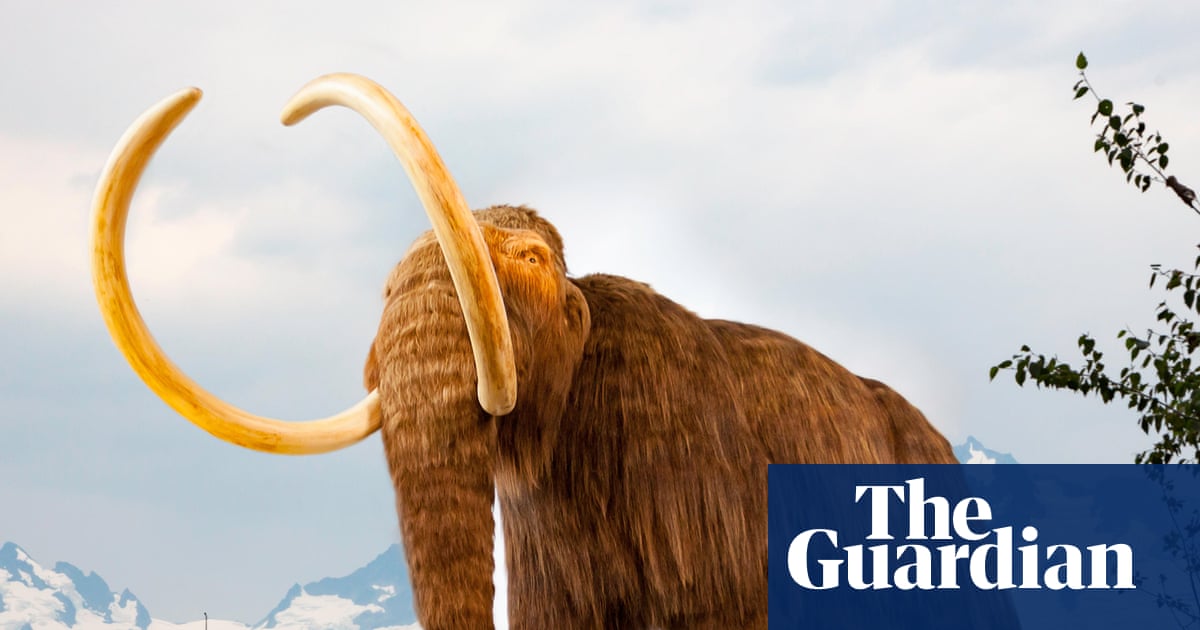 How living history is being written into rocks | Fossils