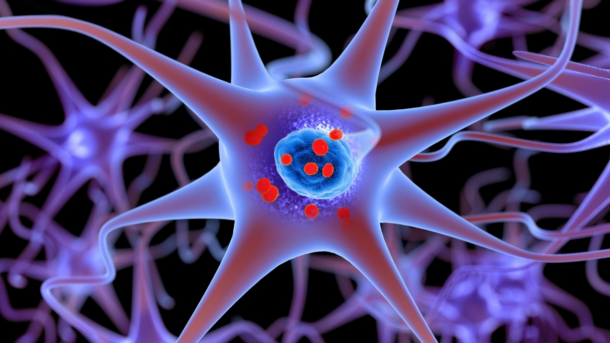 A Tiny Peptide Can Freeze Parkinson’s Proteins Before They Turn Toxic : ScienceAlert