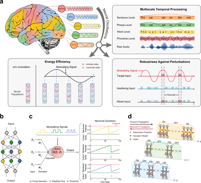 Efficient and robust temporal processing with neural oscillations modulated spiking neural networks