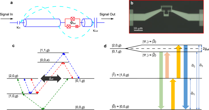 Strong coupling between a single-photon and a two-photon Fock state