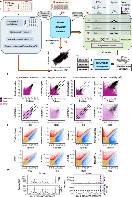 IceQream: Quantitative chromosome accessibility analysis using physical TF models