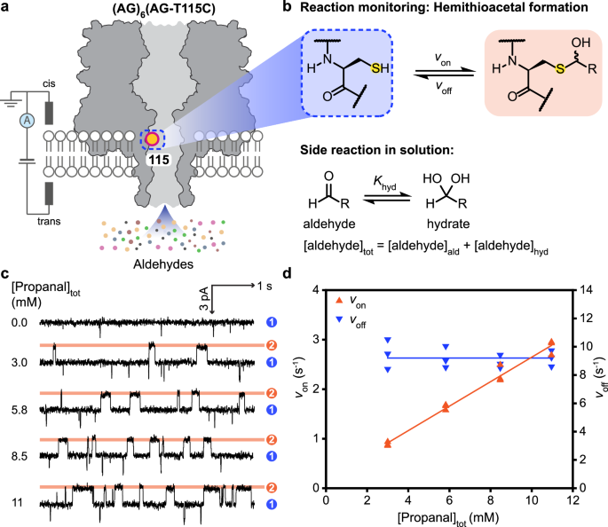 Targeted high-resolution sensing of volatile organic compounds by covalent nanopore detection