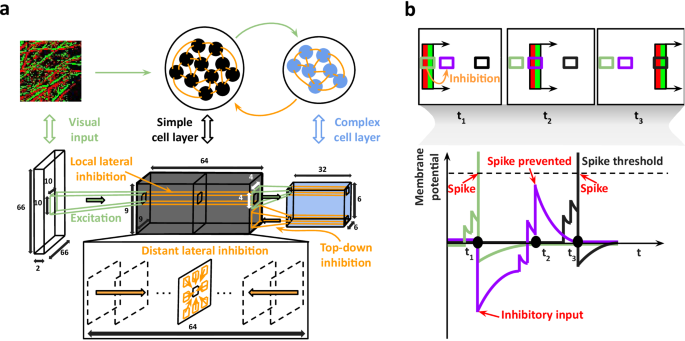 Predictive Coding Light | Nature Communications