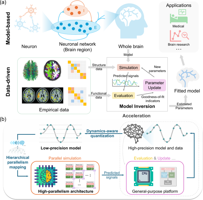 Modeling macroscopic brain dynamics with brain-inspired computing architecture