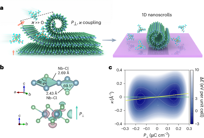 Polarization-driven spontaneous scrolling of two-dimensional materials