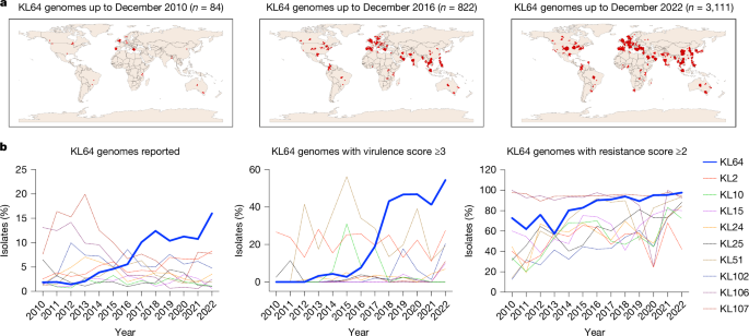 Monoclonal antibodies protect against pandrug-resistant Klebsiella pneumoniae
