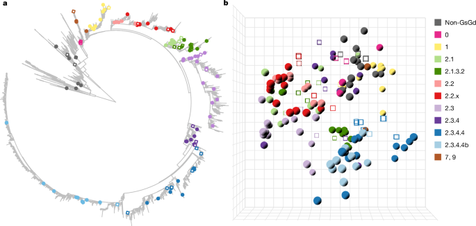 A vaccine central in A(H5) influenza antigenic space confers broad immunity