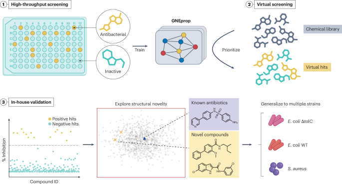 Deep learning speeds the search for new antibiotic scaffolds