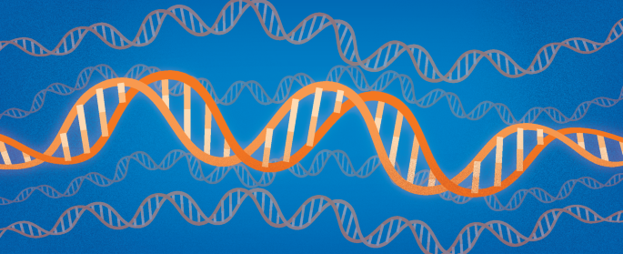 Choose your human genome reference wisely