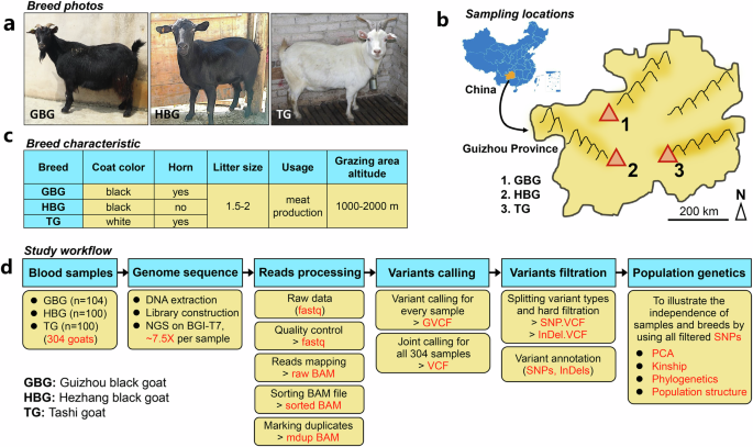 Whole-genome sequencing and variants data of 304 indigenous goats from Southwest China