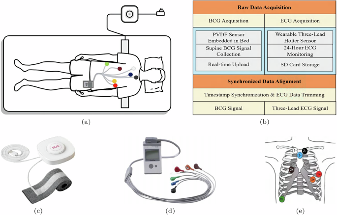 A ballistocardiogram dataset with reference ECG signals for bed-based heart rhythm assessment