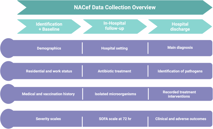 The community acquired pneumonia endotypes and phenotypes dataset