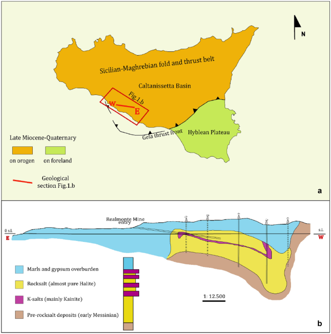 Detection of cavities in a salt mine with cosmic muons: expected results and first data