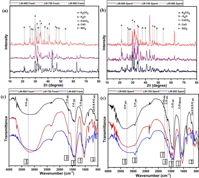 A comprehensive study of the upcycling of litchi chinensis waste into a sustainable transesterification catalyst