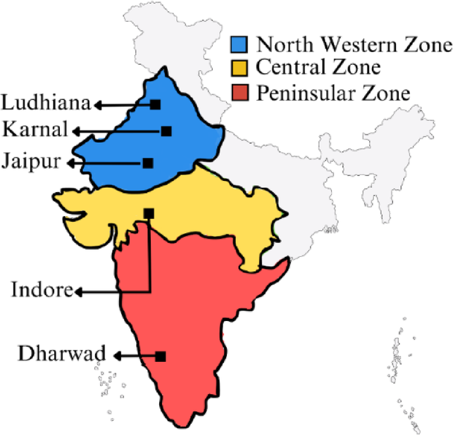 Estimation of protein content in wheat samples using NIR hyperspectral imaging and 1D-CNN