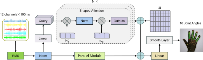 A parallel and efficient transformer deep learning network for continuous estimation of hand kinematics from electromyographic signals